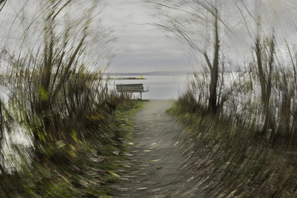 Denna bild är en ICM – Intentional camera movement, medveten kameraskakning.