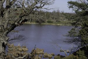 Ängsö