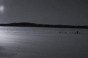 Björnön