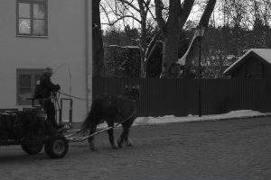 Kulturdag