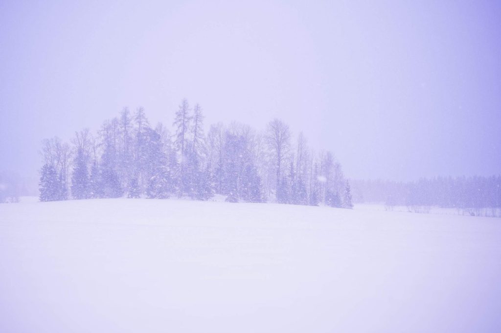 Svana sno