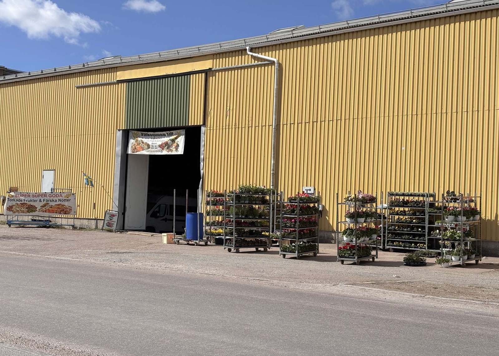 Torggubbens nya plats