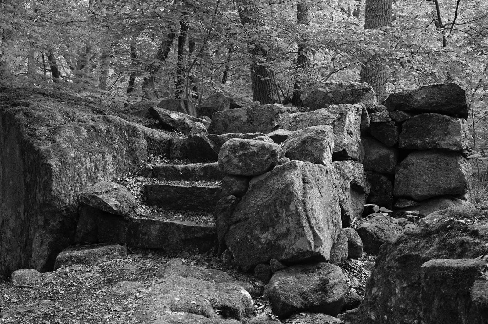 Mossbeklädda stentrappor och klippblock på Åholmen fotograferade i svartvitt, med 
