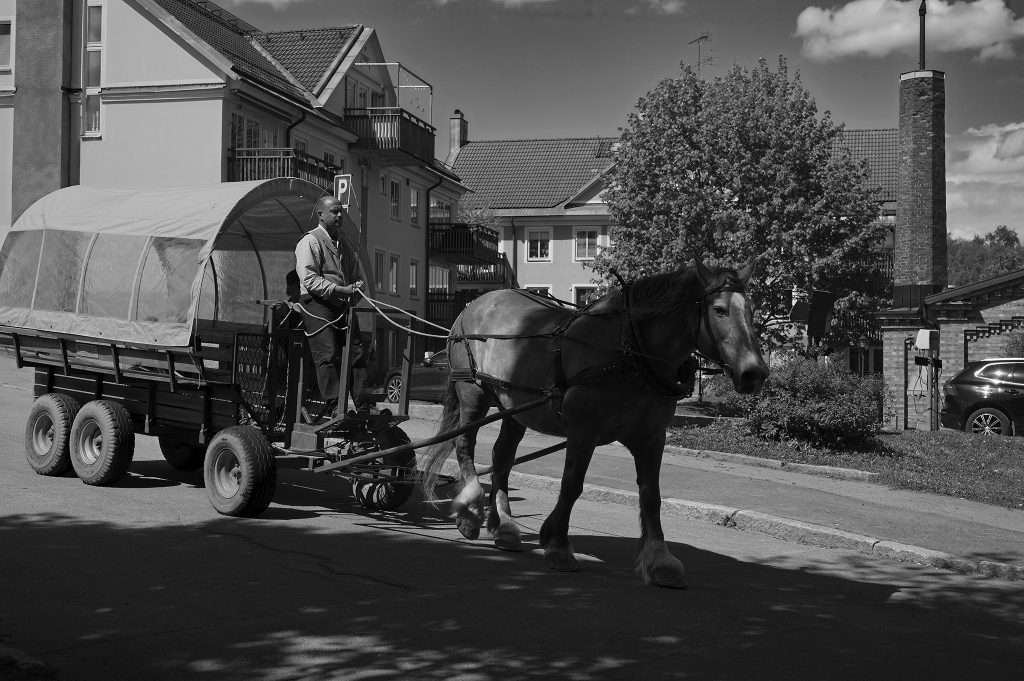En man kör en hästdragen vagn med ett tältliknande tak längs en stadsgata i Västerås. En mörk häst av nordiskt drag drar vagnen. I bakgrunden syns flerfamiljshus, ett parkeringsmärke och bilar.