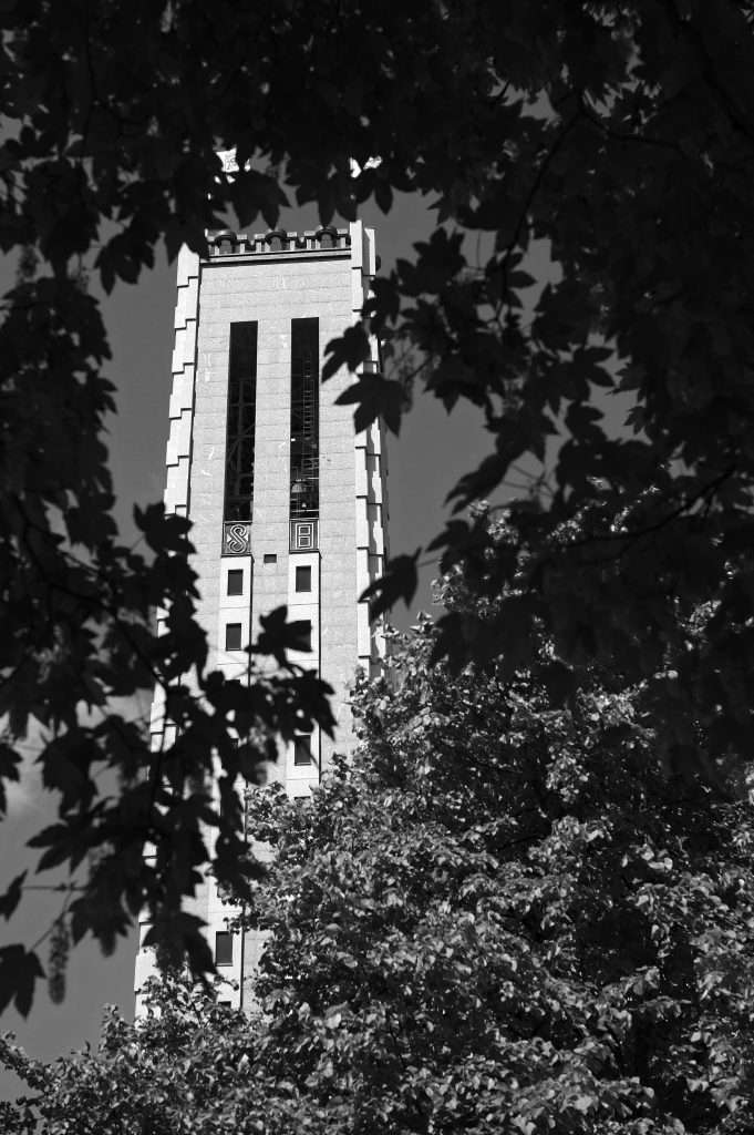 Stadshustornet i Västerås sett genom lövverk, svartvit bild med klocktornet i centrum