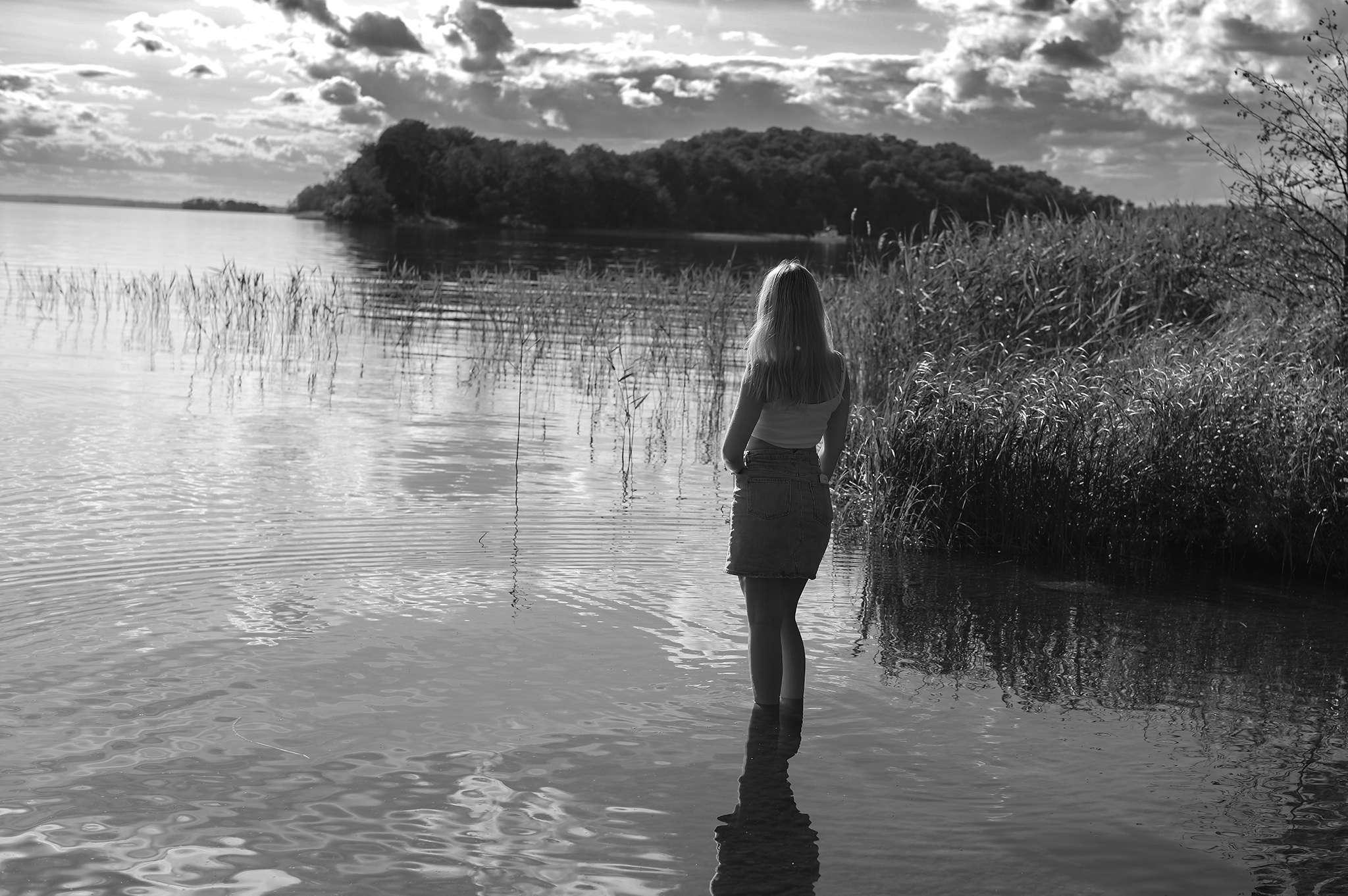 A still moment at the water's edge – wading in the lake, looking out towards the wooded point and the summer sky, captured in black and white.